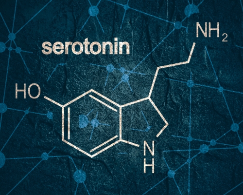 Serotonin Mangel? L-Tryptophan oder 5-HTP gegen ein Post-Drogen-Tief